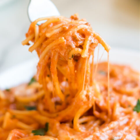 plate of creamy spaghetti with a fork picking up some