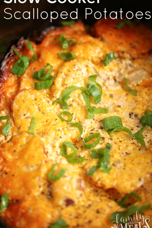 Slow Cooker Scalloped Potatoes - FamilyFreshMeals.com